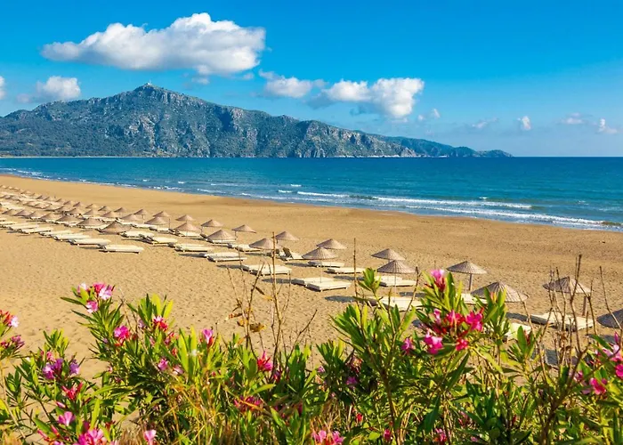 Вилла Sasha 2 Ортаджа